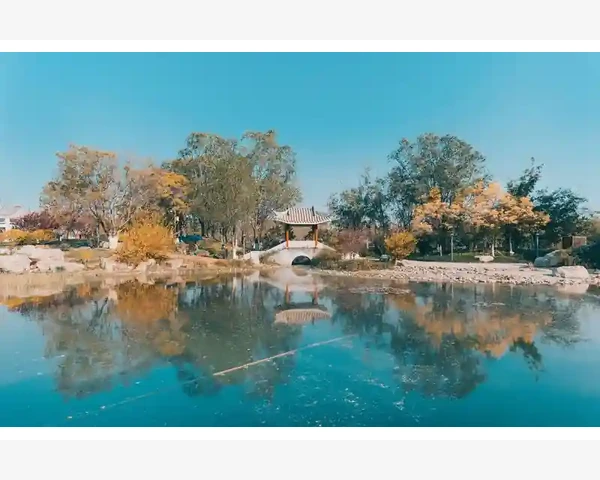 通过驱寒祛湿气减肥茶有哪些