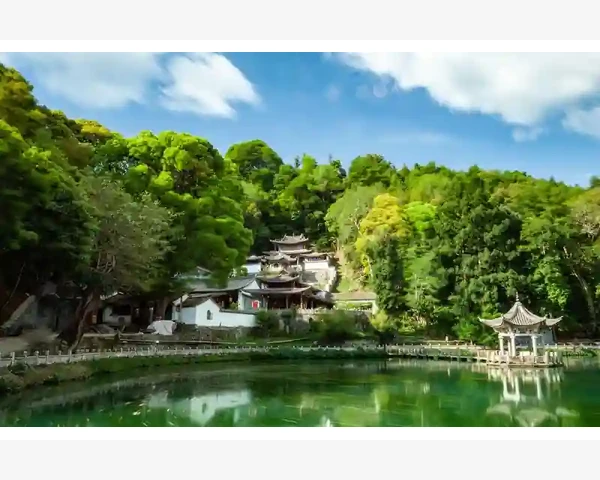 基金会会计科目设置与核算实务要点