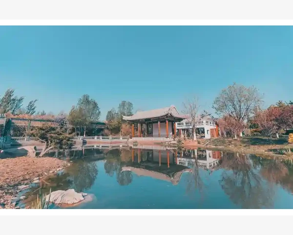 咳嗽化痰推拿：舒缓咳嗽，解除痰饮的古老中医秘方